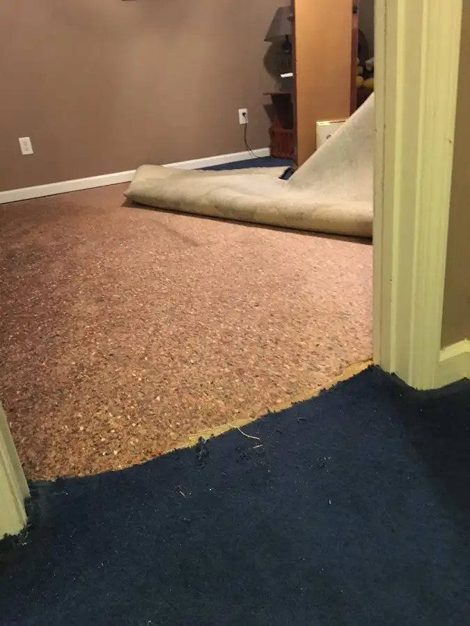 Carpet pad removal revealing water damage during Water Mitigation Services in Schenectady